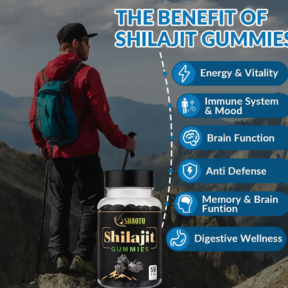 Shilajit Gummies – Natural Energy, Stamina & Immunity Booster | Shaqtu™