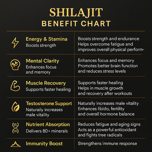Pure Shilajit – Gilgit Salajeet (100% Natural Himalayan Resin) – Energy, Strength & Wellness Booster