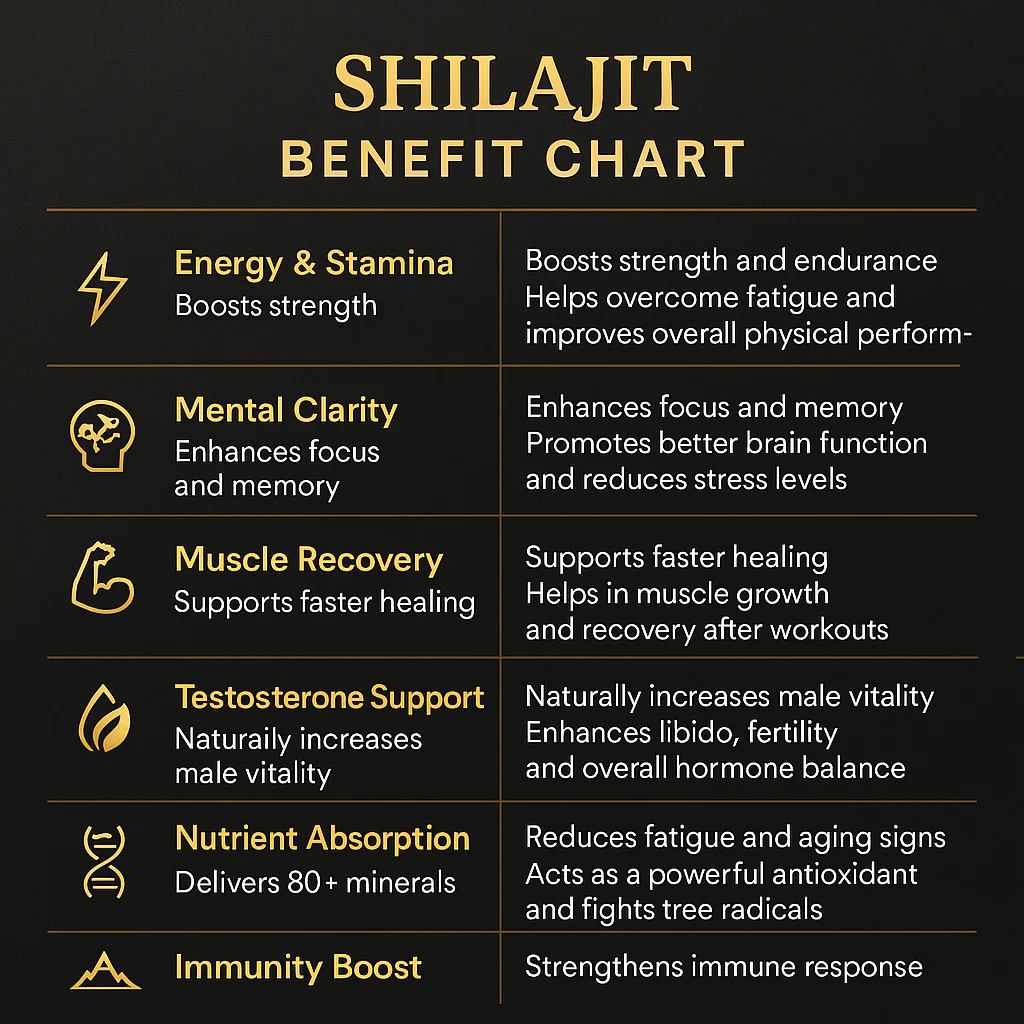 Pure Shilajit – Gilgit Salajeet (100% Natural Himalayan Resin) – Energy, Strength & Wellness Booster